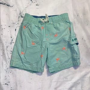 Boys Turquoise Swim trunks with Flamingos
